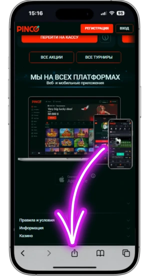 Pinco iOS кнопка Поделиться